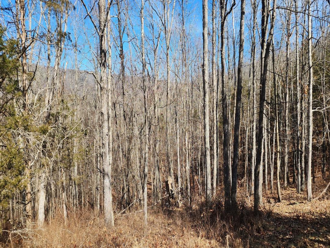 Middlebrook, VA 243.07 acres Land and Farms Realty
